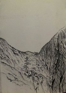 20171220_230859-1-1 (1)